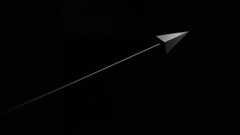 Minimalist Black Aircraft in Abstract Style with Reflective Surface