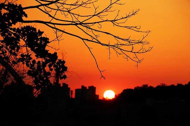 Scene depicts an urban setting during sunset, with an orange sky and the sun seen setting behind city buildings. In the foreground, bare tree branches create a stark silhouette. Suitable for themes related to tranquility, urban landscapes, evening beauty, and nature's contrast with the city.