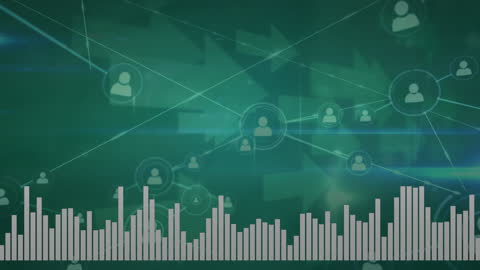 Dynamic Digital Network Interface with Statistics Overlay