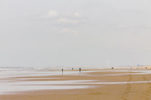 People are peacefully walking on a quiet beach with footprints visible on the sandy shore. In the background, wind turbines dot the horizon, implying a focus on renewable energy and nature. This photograph is ideal for use in projects that emphasize environmental awareness, coastal tourism, relaxation, and serene landscapes.