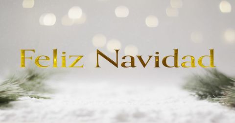 Feliz Navidad Greeting with Festive Christmas Elements
