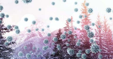 Covid-19 Cells Superimposed Over Winter Landscape - Download Free Stock Images Pikwizard.com