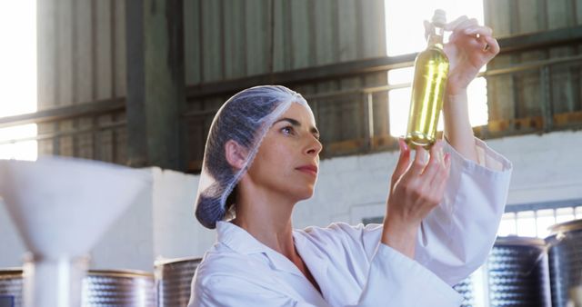 Quality Control Expert Inspecting Olive Oil at Factory - Download Free Stock Images Pikwizard.com