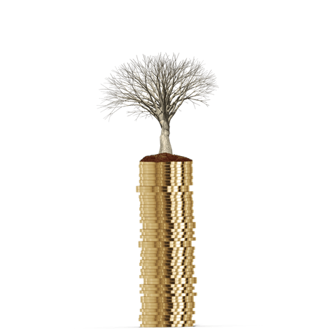 tree growing from stack of gold coins on transparent background - Download Free Stock Videos Pikwizard.com