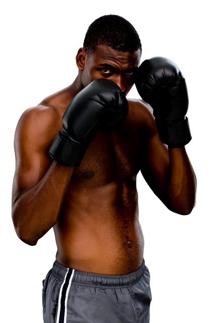 Focused African American Boxer in Boxing Gloves on Transparent Background - Download Free Stock Videos Pikwizard.com