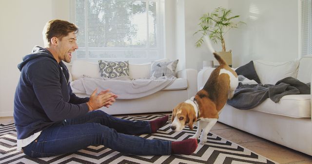 Man enjoys playful moment with beagle dog in modern living room with stylish decor. Sunlight filters through blinds, casting a warm glow on the scene. Perfect for themes of pet companionship, home lifestyle, joyful interactions, or indoor relaxation.