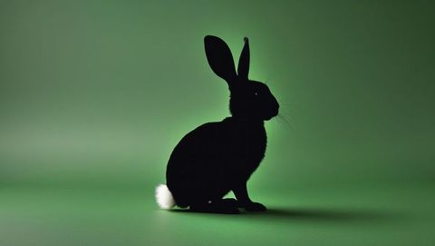 Silhouette of black cottontail rabbit on vibrant green background
