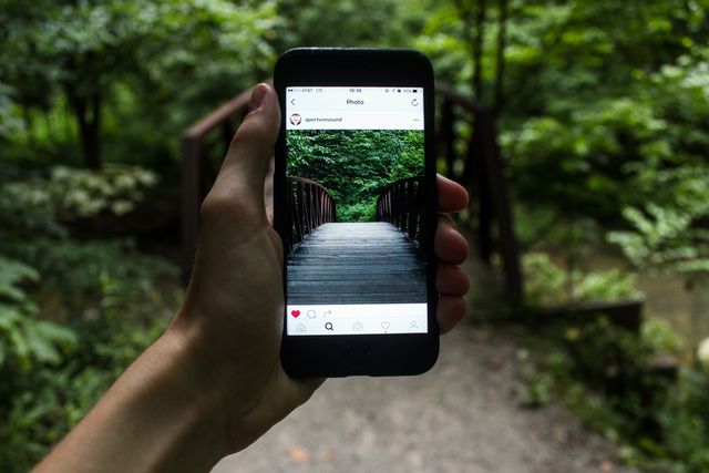 Hand holding smartphone navigating social media app while taking picture of a wooden bridge in a lush forest. Useful for illustrating the intersection of nature and technology, outdoor adventures, and social media interaction in natural settings.