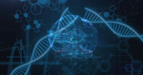 Digital Brain and DNA Strands with Technology Interface - Download Free Stock Images Pikwizard.com