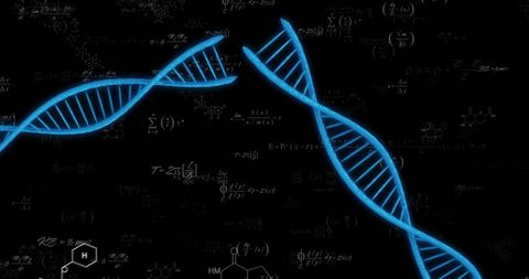 dna double helix with scientific and mathematical formulas - Download Free Stock Images Pikwizard.com