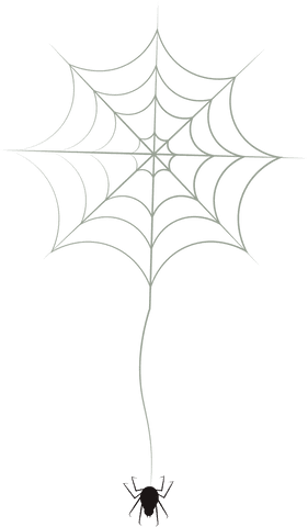 black spider dangling from web on transparent background - Download Free Stock Videos Pikwizard.com