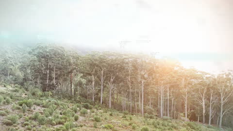 Mathematical Formulas Over Misty Forest Landscape at Sunrise