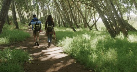 Diverse Couple Hiking in Sunlit Forest Path