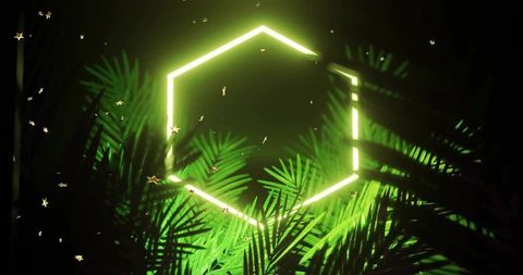 Neon hexagon light framing tropical palm fronds with floating gold particle sparks