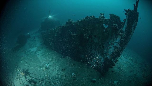 Deep Sea Shipwreck Bow Illuminated by Light, Rusted Hull with Barnacles and Schooling Fish