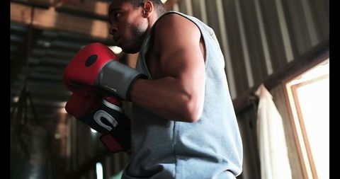 Young African American Boxer Training Indoors in Boxing Stance - Download Free Stock Images Pikwizard.com