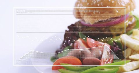 Gourmet burger with fries and fresh salad featuring futuristic data overlay