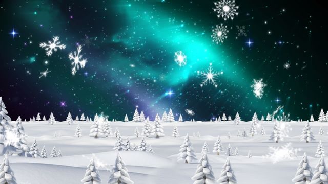 Magical nighttime winter scene showcases snowflakes falling gently over a snow-covered field of Christmas trees under a mesmerizing aurora borealis. Ideal for creating festive holiday animations, seasonal greeting cards, and winter-themed designs, this enchanting view brings a sense of wonder to any project centered on the beauty of winter and the holidays.