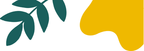 Transparent botanical motif with teal branch and mustard blob for branding and overlay