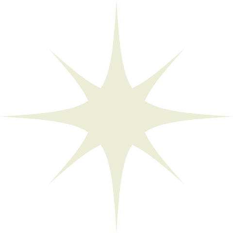 Elegant Eight-Pointed Star Icon on Transparent Background - Download Free Stock Videos Pikwizard.com