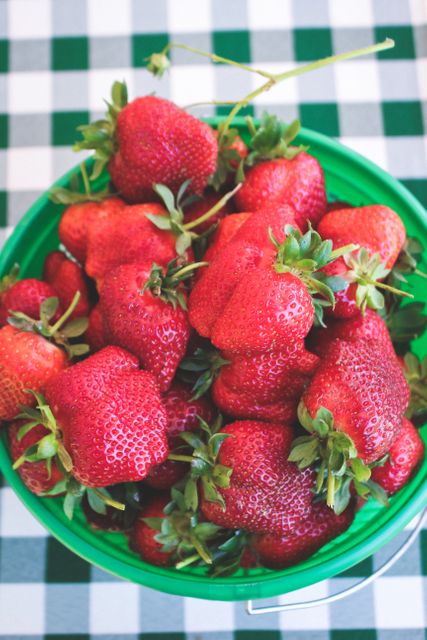 Bountiful harvest of freshly picked strawberries placed in a green bucket, sitting on a green and white checkered tablecloth. Perfect for use in articles or advertisements related to healthy living, organic produce, summer harvests, agricultural tourism, or fresh market promotions.