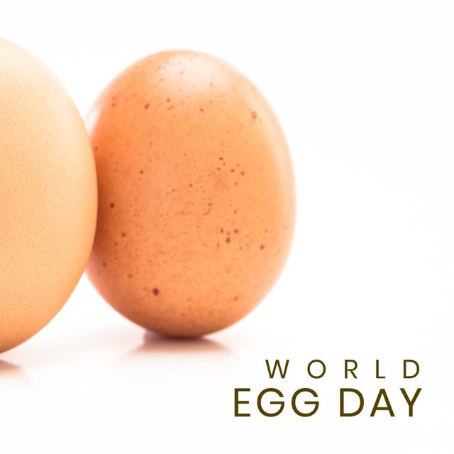 Digital composite image of brown eggs and world egg day text against white background, copy space. Fresh, raw, egg, food, nutrition, healthy, awareness and celebration concept.