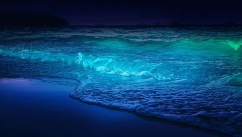 Glowing bioluminescent waves breaking on shore at night with teal and cyan luminous surf