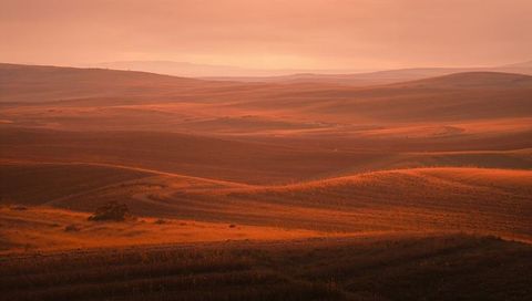 Golden hour rolling prairie with winding dirt track and layered grassy ridgelines