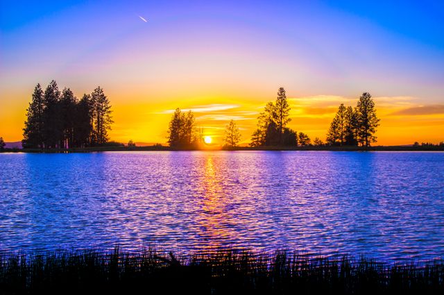 Blue and Orange Sunset over Lake With Tree Silhouettes - Download Free Stock Photos Pikwizard.com