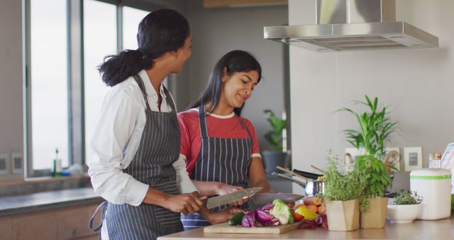 Diverse Women Smiling and Cooking Fresh Vegetables in Modern Kitchen - Download Free Stock Images Pikwizard.com