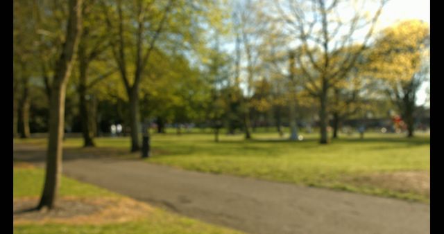 Beautiful park scene captured with a blurry effect that emphasizes trees and a shaded pathway on a sunny day. Ideal for backgrounds, illustrating tranquility, or promoting outdoor activities.