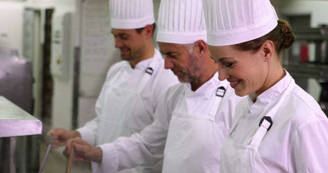 Professional chefs in white uniforms working together, preparing a meal in a commercial kitchen. Suitable for illustrating topics related to teamwork, culinary schools, restaurant businesses, chef training programs, and professional cooking.