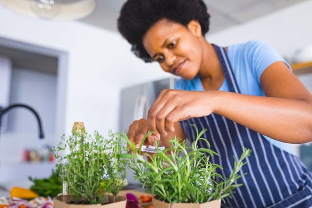 African american mid adult woman cutting herb plant in kitchen. unaltered, lifestyle, preparation, food, organic.