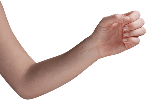 close-up of cropped female hand on transparent background - Download Free Stock Videos Pikwizard.com