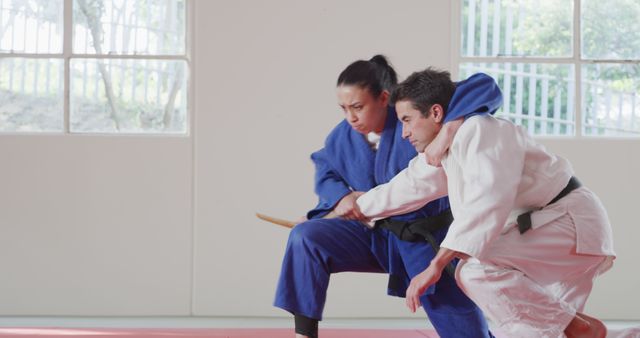 Mixed Gender Martial Arts Training Practitioners in Action - Download Free Stock Images Pikwizard.com