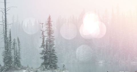 Serene Winter Mountain Landscape with Snow-Covered Fir Trees - Download Free Stock Images Pikwizard.com