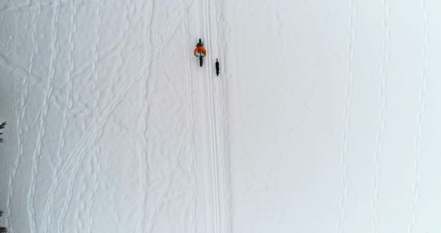 A man is sledding with his dog on a snow-covered landscape, captured from an aerial perspective. This image can be used for highlighting winter activities, showcasing outdoor adventures, or advertising winter sports gear. It is also ideal for blog posts or articles related to winter tourism, pet-friendly adventures, or nature expeditions.