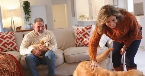 Couple enjoying cozy home evening with golden retrievers and puppy, knitwear, warm lighting