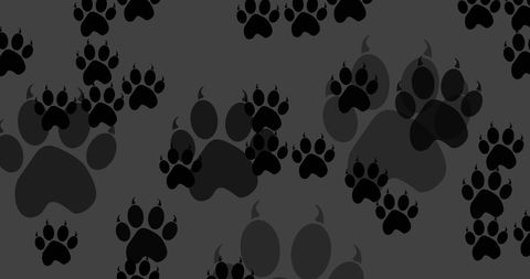 Black Dog Paw Prints on Dark Grey Background - Download Free Stock Images Pikwizard.com