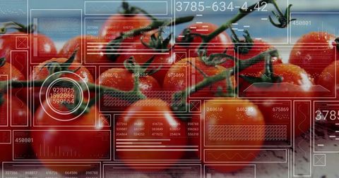 Digitally enhanced vine-ripened tomatoes highlighting agrotech