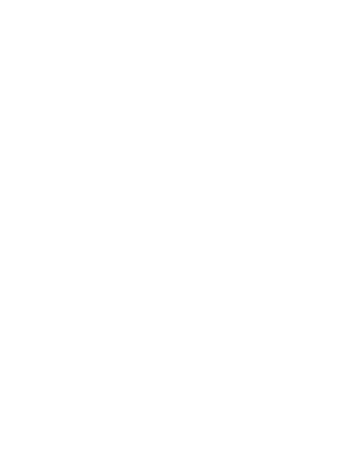 PNG Silhouette of Athletes Lifting Barbells on Transparent Background - Download Free Stock Videos Pikwizard.com