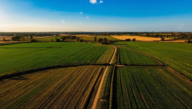 Intersecting dirt tracks cutting through cultivated fields golden hour panoramic view