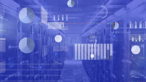 Digital Data Processing Over Servers with Statistical Graphics