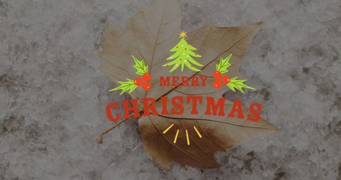 Festive Merry Christmas Greeting on Autumn Leaf with Snow