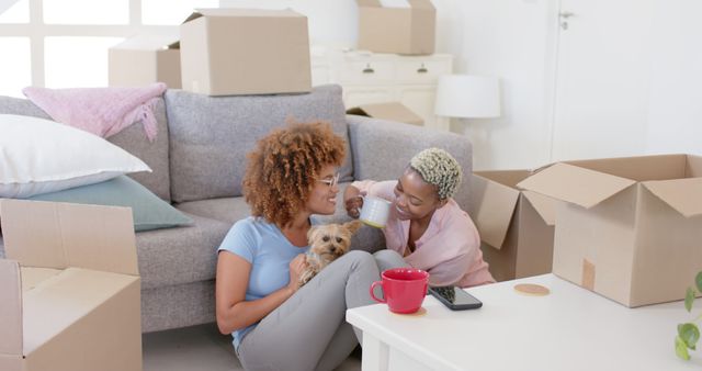 Happy Couple Unpacking Boxes in New Home with Pet Dog - Download Free Stock Images Pikwizard.com