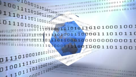 Data Processing and Globe Animation with Digital Binary Code