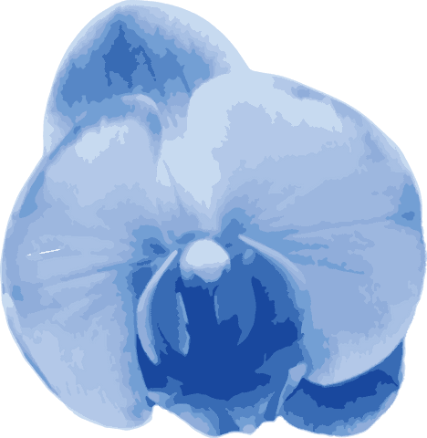 Transparent watercolor blue flower vector illustration