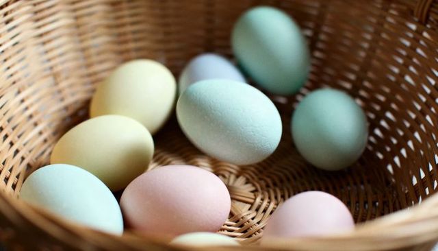 Pastel dyed farm eggs nesting on woven wicker basket, soft spring colors