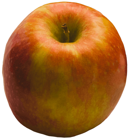 Transparent Fresh Apple Close-Up on White Background - Download Free Stock Videos Pikwizard.com