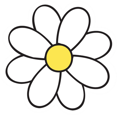 Colorful daisy on transparent background floral illustration